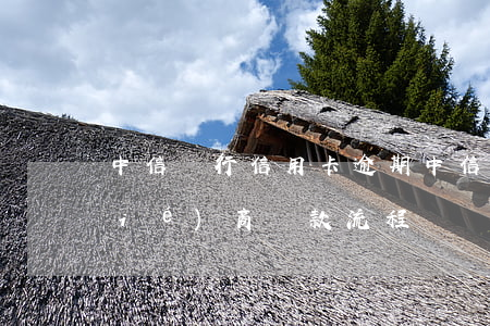 中信銀行信用卡 逾期（中信信用卡逾期協(xié)商還款流程）