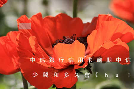 中信銀行 信用卡 逾期（中信銀行信用卡逾期多少錢和多久會(huì)起訴）