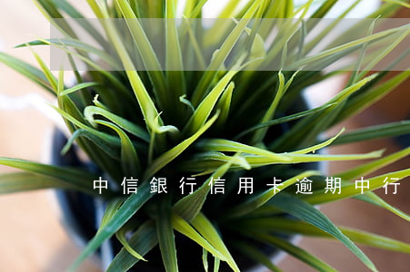 中信銀行 信用卡 逾期（中行信用卡逾期4期）