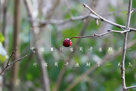 中信銀行信用卡逾期了一天怎么辦-中信銀行信用卡逾期了一天怎么辦理
