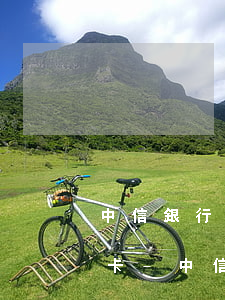 中信銀行信用卡逾期了多久會(huì)封卡-中信銀行信用卡逾期了多久會(huì)封卡呢