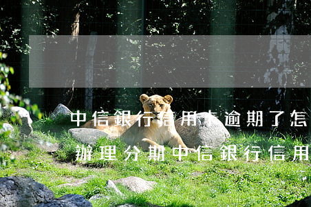 中信銀行信用卡逾期了怎么協(xié)商辦理分期（中信銀行信用卡逾期9800）