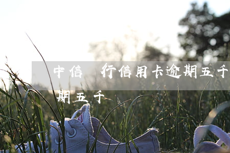 中信銀行信用卡逾期五千(中信銀行信用卡逾期五千)