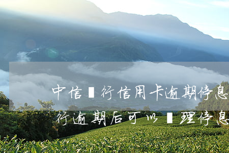 中信銀行信用卡逾期停息掛賬上海-中信銀行逾期后可以辦理停息掛賬嗎