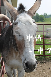中信銀行信用卡逾期停息掛賬浦發(fā)-中信銀行信用卡逾期停息掛賬浦發(fā)卡能用嗎