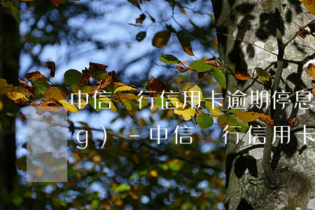 中信銀行信用卡逾期停息掛賬申請(qǐng)-中信銀行信用卡逾期停息掛賬申請(qǐng)要多久