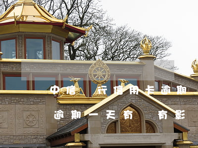 中信銀行信用卡逾期兩天了(中信銀行信用卡逾期一天有沒有影響?)
