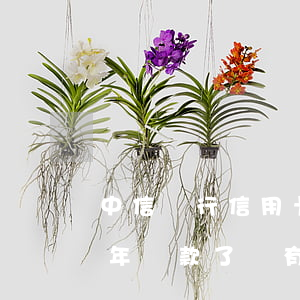 中信銀行信用卡逾期兩天還上(中信卡逾期一年還款了還有額度可以使用嗎)