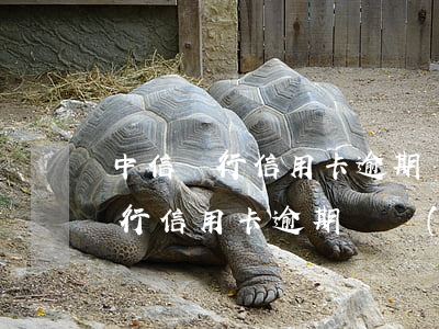 中信銀行信用卡逾期凍結(jié)(中信銀行信用卡逾期凍結(jié)了我別的銀行卡)