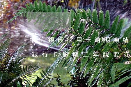 中信銀行信用卡逾期凍結(jié)了(中信銀行卡逾期三年,說要立案是真的嗎)
