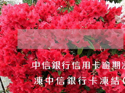 中信銀行信用卡逾期凍結(jié)怎么解凍(中信銀行卡凍結(jié)怎么辦)
