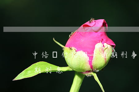 中信銀行信用卡逾期刑事立案(中信信用卡 逾期利息)