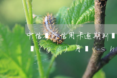 中信銀行信用卡逾期判決(中信信用卡逾期一個(gè)月說(shuō)要起訴是真的嗎)
