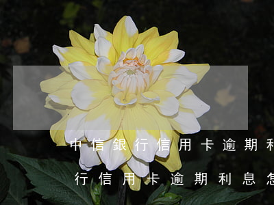 中信銀行信用卡逾期利息怎么算的-中信銀行信用卡逾期利息怎么算的啊