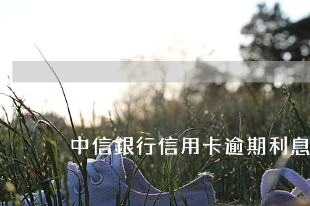中信銀行信用卡逾期利息是多少