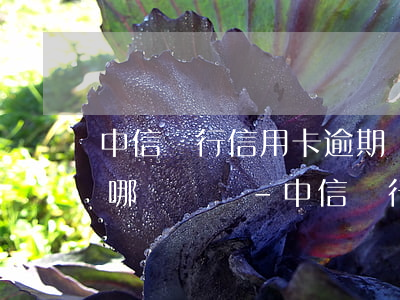 中信銀行信用卡逾期協(xié)商分期打哪個電話-中信銀行信用卡逾期協(xié)商分期打哪個電話投訴