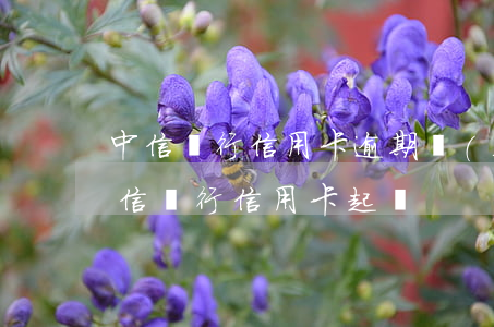 中信銀行信用卡逾期協(xié)商案例(中信銀行信用卡 起訴)