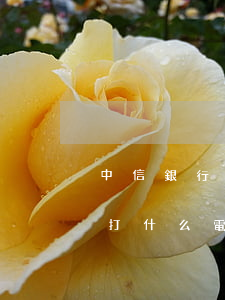中信銀行信用卡逾期協(xié)商還款撥打什么電話-中信銀行逾期協(xié)商還款,要我湊最低還款,我也還不上