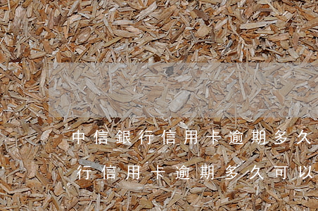 中信銀行信用卡逾期多久可以消除-中信銀行信用卡逾期多久可以消除記錄