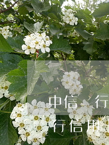 中信銀行信用卡逾期多久才能消除-中信銀行信用卡逾期多久才能消除記錄