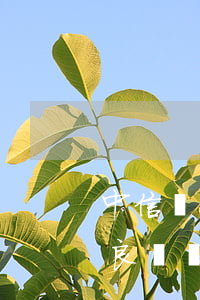 中信銀行信用卡逾期多久會(huì)有不良記錄-中信銀行信用卡逾期多久會(huì)有不良記錄
