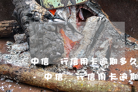 中信銀行信用卡逾期多久會(huì)立案-中信銀行信用卡逾期一天有沒有影響?