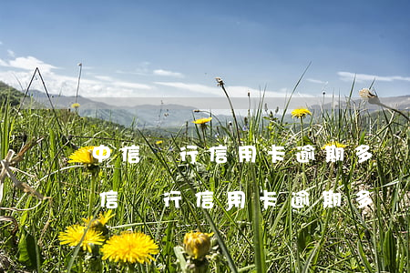 中信銀行信用卡逾期多長時間會被起訴-中信銀行信用卡逾期多長時間會被起訴呢