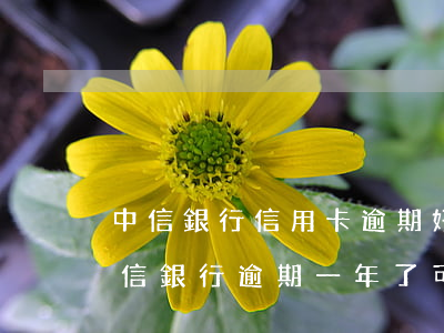中信銀行信用卡逾期好協(xié)商嗎(中信銀行逾期一年了,可以協(xié)商還本金嗎)