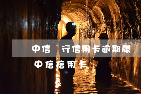 中信銀行信用卡逾期履約說明(簽還款承諾書中信信用卡)