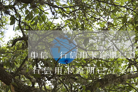 中信銀行信用卡逾期已立案怎么辦-中信銀行信用卡逾期已立案怎么辦理