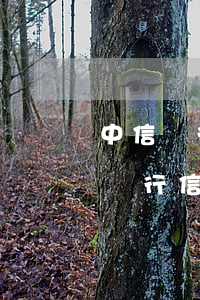 中信銀行信用卡逾期幾天不會上征信-中信銀行信用卡逾期幾天不會上征信了