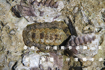 中信銀行信用卡逾期幾天會凍結(jié)卡-中信銀行信用卡逾期幾天會凍結(jié)卡嗎