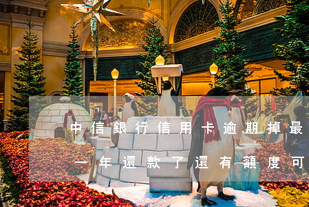 中信銀行信用卡逾期掉最低還款(中信卡逾期一年還款了還有額度可以使用嗎)