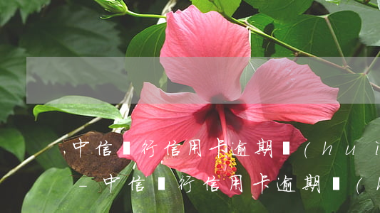中信銀行信用卡逾期會(huì)去單位嗎-中信銀行信用卡逾期會(huì)去單位嗎怎么處理