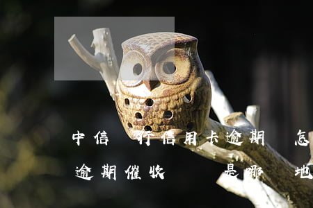 中信銀行信用卡逾期會怎么催收-中信銀行逾期催收電話是哪個地方的號碼