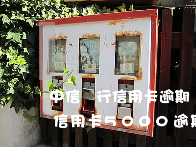 中信銀行信用卡逾期會有哪些費用(中信銀行信用卡5000逾期兩年)