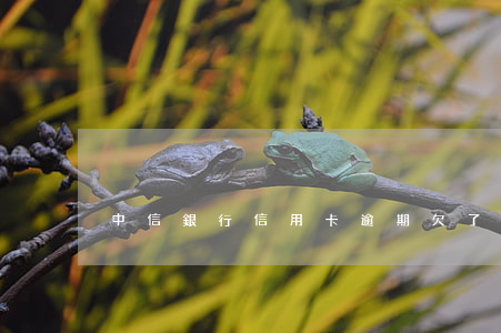 中信銀行信用卡逾期欠了十幾萬