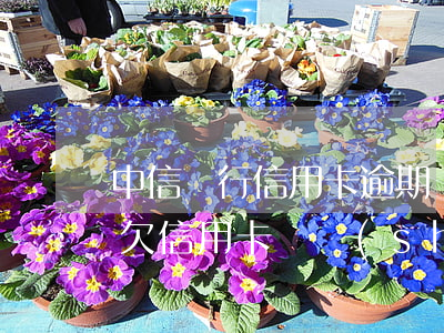 中信銀行信用卡逾期沒(méi)能力償還 欠信用卡暫時(shí)無(wú)力償還