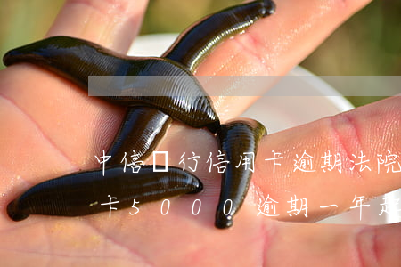 中信銀行信用卡逾期法院上門(中信銀行信用卡5000逾期一年起訴)