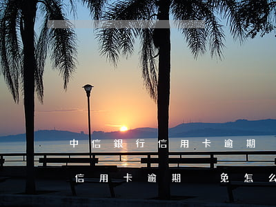 中信銀行信用卡逾期減免怎么算-中信銀行信用卡逾期減免怎么算的
