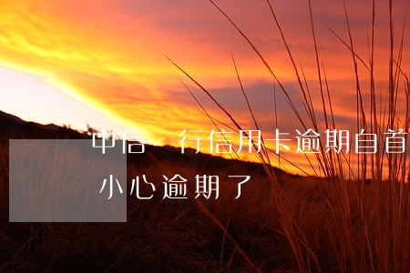 中信銀行信用卡逾期自首(中信銀行信用卡不小心逾期了)