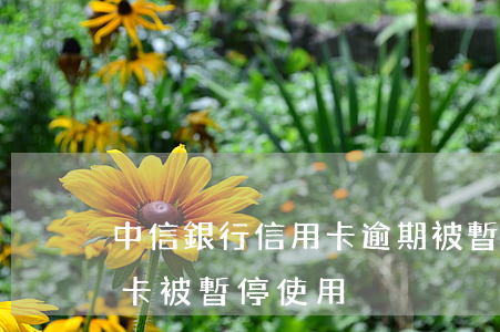 中信銀行信用卡逾期被暫停使用(為什么信用卡被暫停使用)