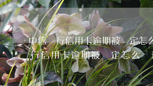 中信銀行信用卡逾期被鎖定怎么辦-中信銀行信用卡逾期被鎖定怎么辦理