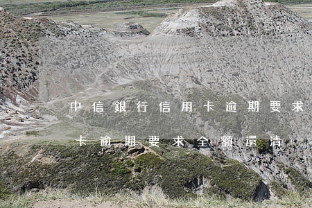 中信銀行信用卡逾期要求全額(中信銀行信用卡逾期要求全額還清)