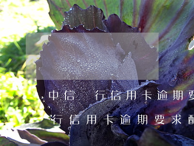 中信銀行信用卡逾期要求配合錄音-中信銀行信用卡逾期要求配合錄音是真的嗎