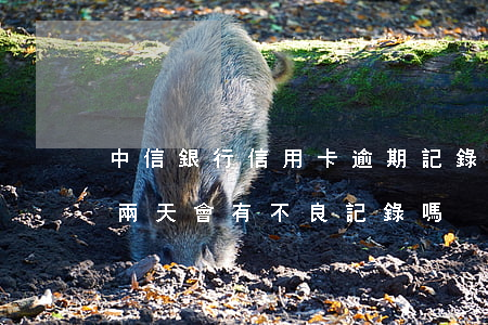 中信銀行信用卡逾期記錄多久消(信用卡逾期兩天會有不良記錄嗎)