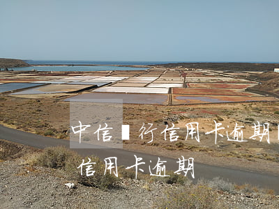 中信銀行信用卡逾期記錄多久消失(中信銀行信用卡 逾期)