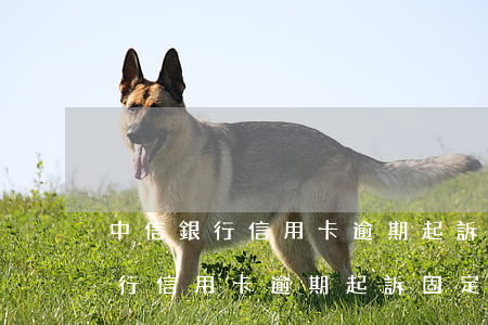 中信銀行信用卡逾期起訴固定額度-中信銀行信用卡逾期起訴固定額度怎么辦