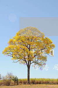 中信銀行信用卡逾期還了還能用嗎-中信銀行信用卡逾期還了還能用嗎