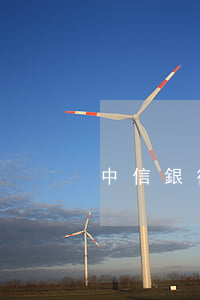 中信銀行信用卡逾期還款規(guī)則